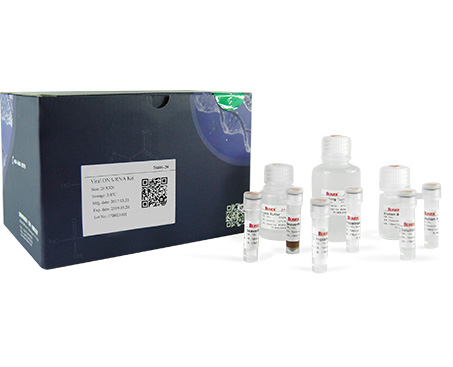 Viral DNA/RNA Isolation Kit